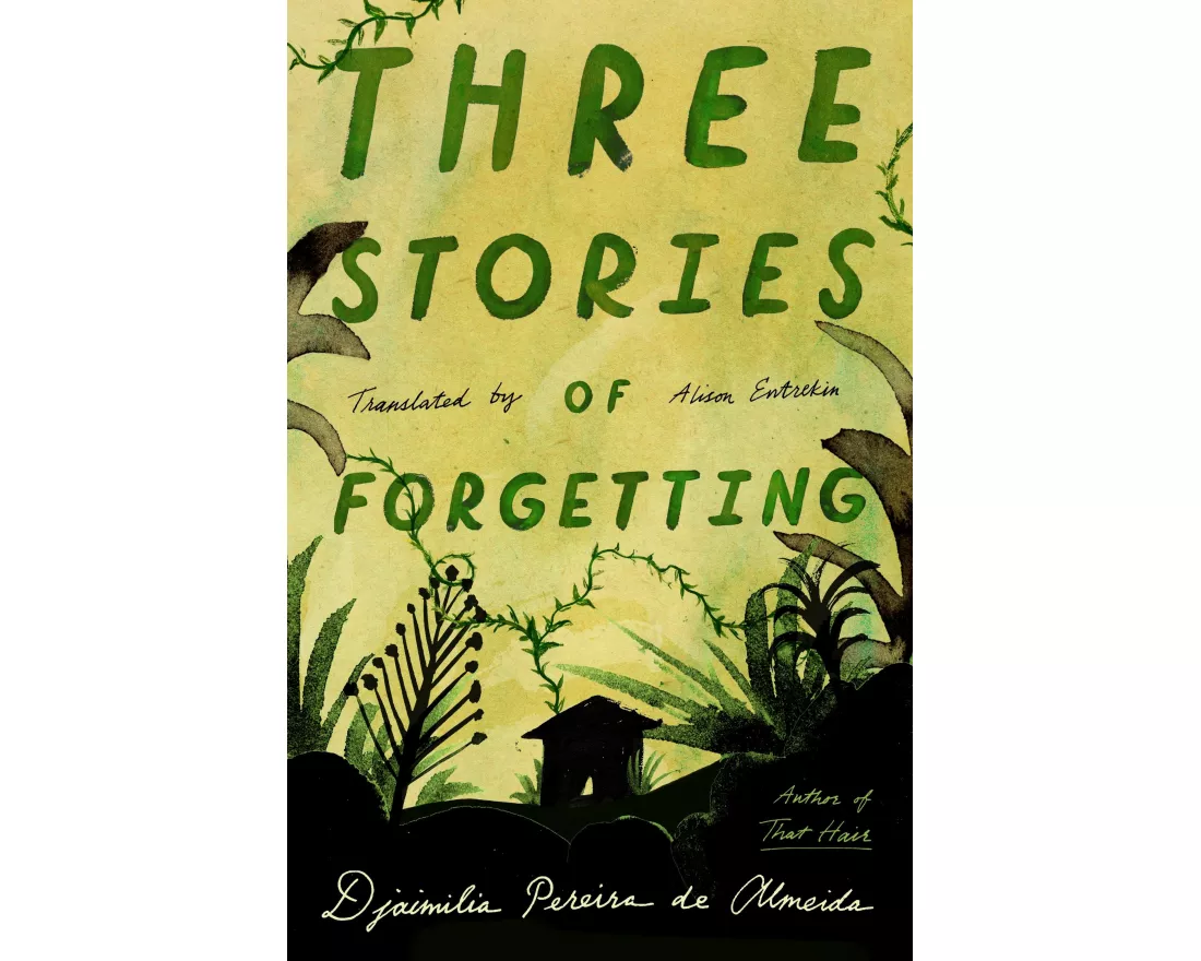 Three Stories of Forgetting