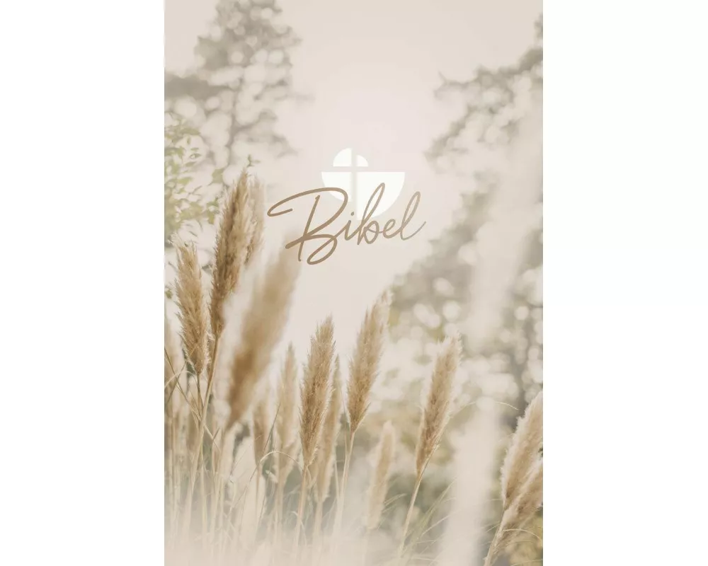 Schlachter 2000 Bibel - Taschenausgabe (Hardcover, farbiger Einband 'Pampasgras')