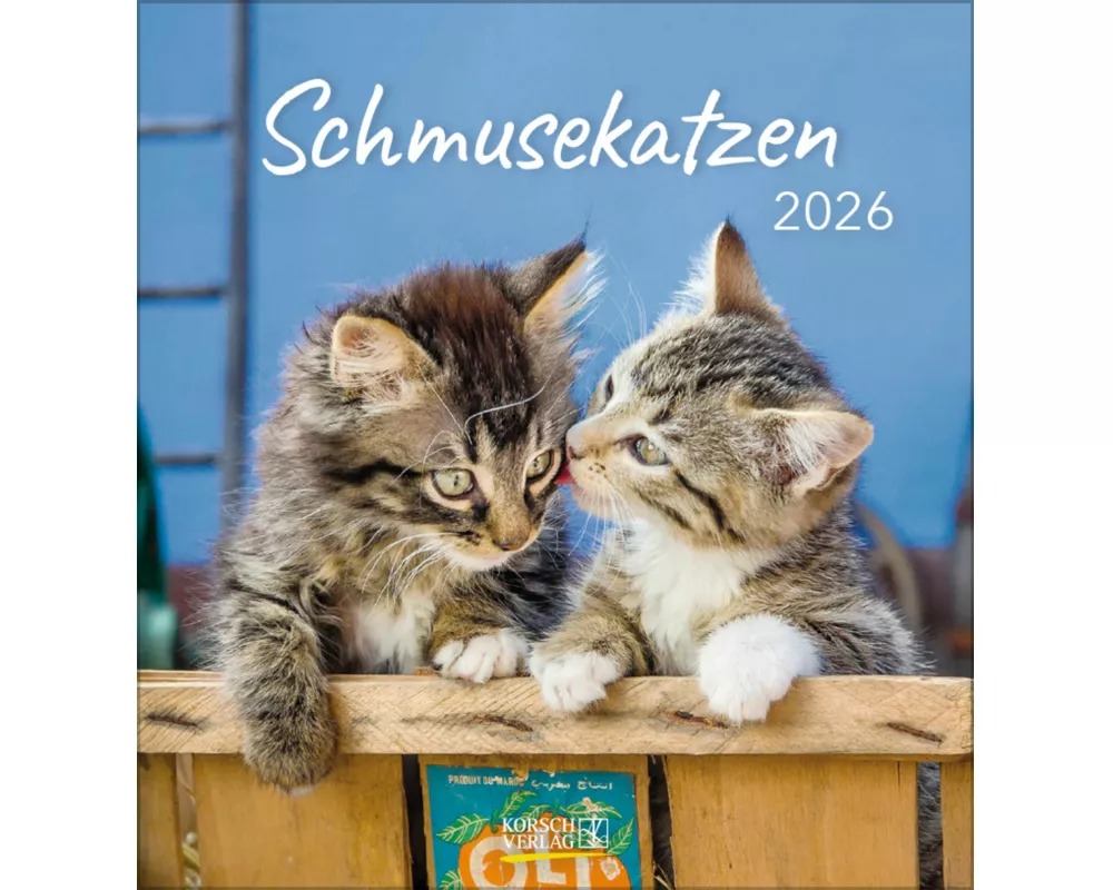 Schmusekatzen 2026