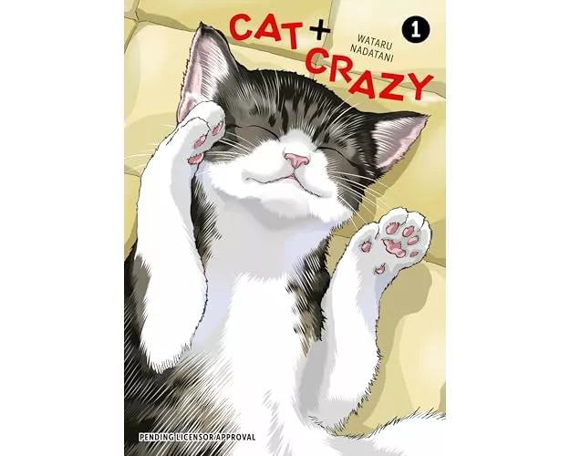 Cat + Crazy Volume 1