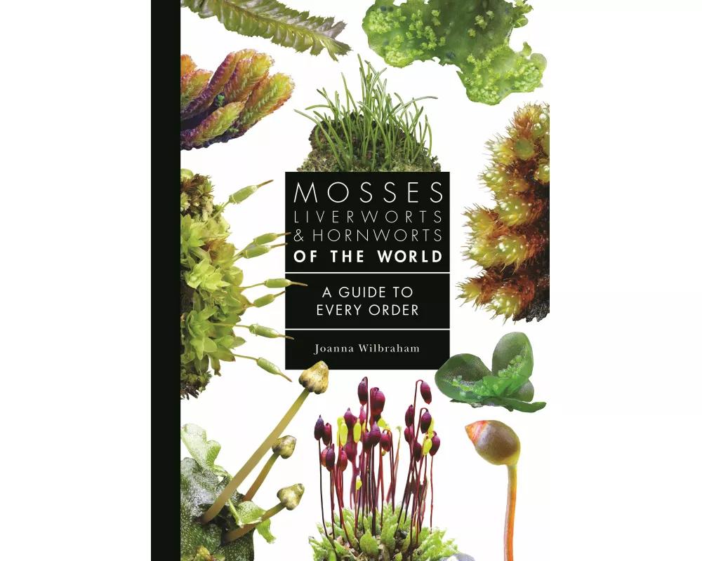 Mosses, Liverworts, and Hornworts of the World