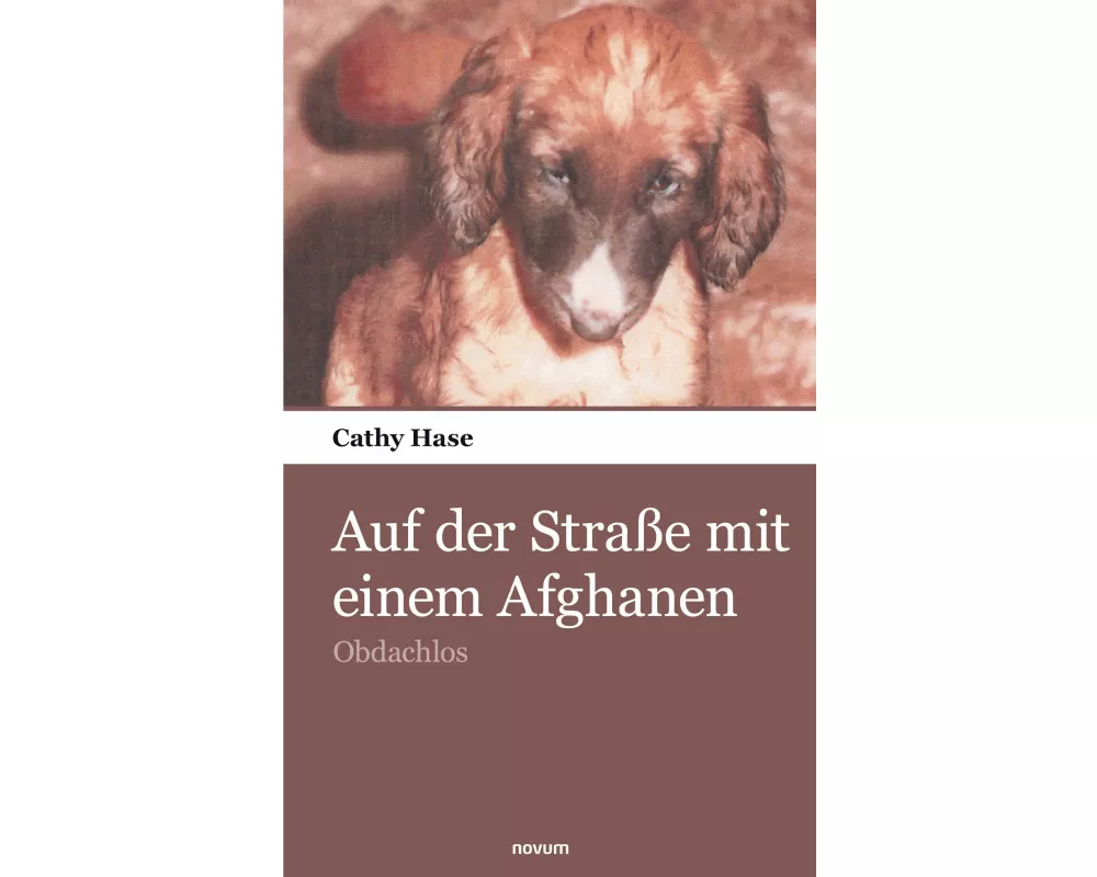 Auf der Straße mit einem Afghanen