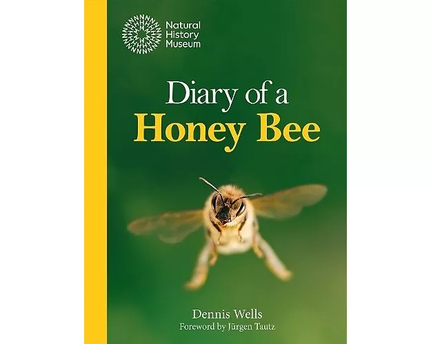 Diary of a Honey Bee