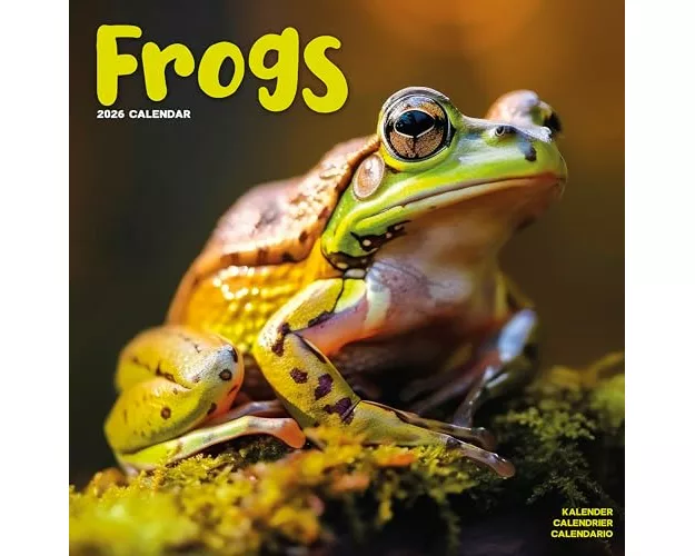 Frogs Calendar 2026 Square Animal Wall Calendar - 16 Month