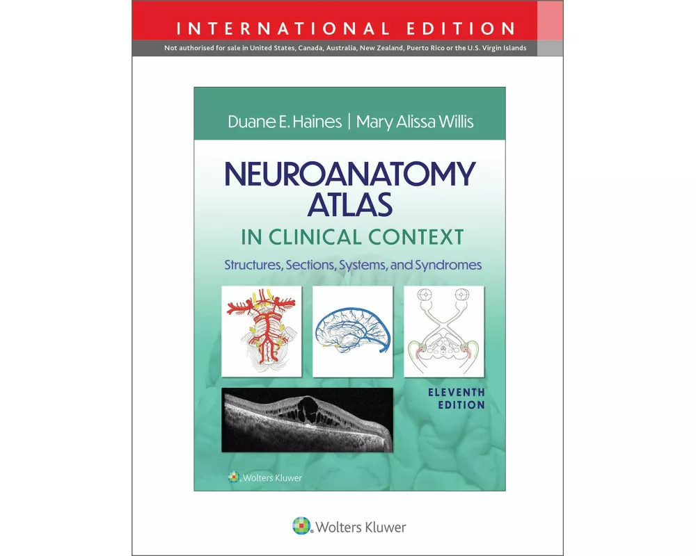 Neuroanatomy Atlas in Clinical Context