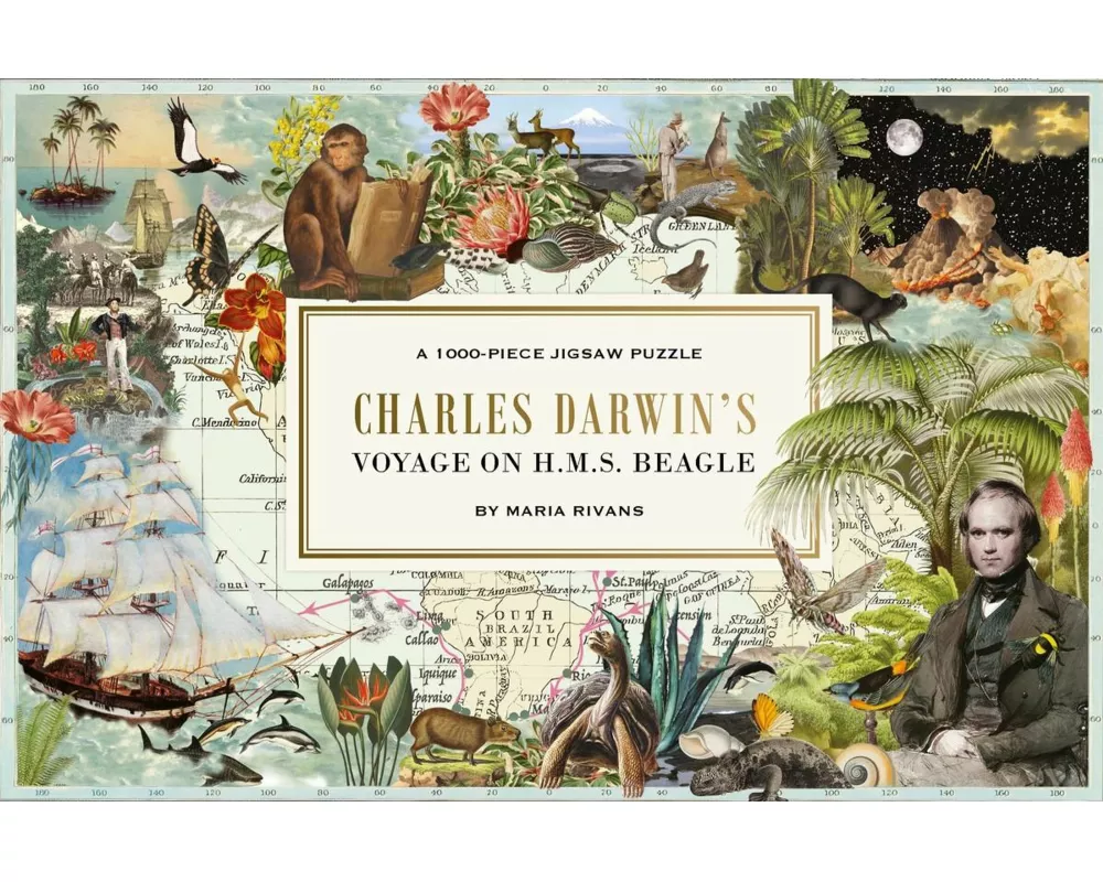 Charles Darwin's Voyage on H.M.S. Beagle