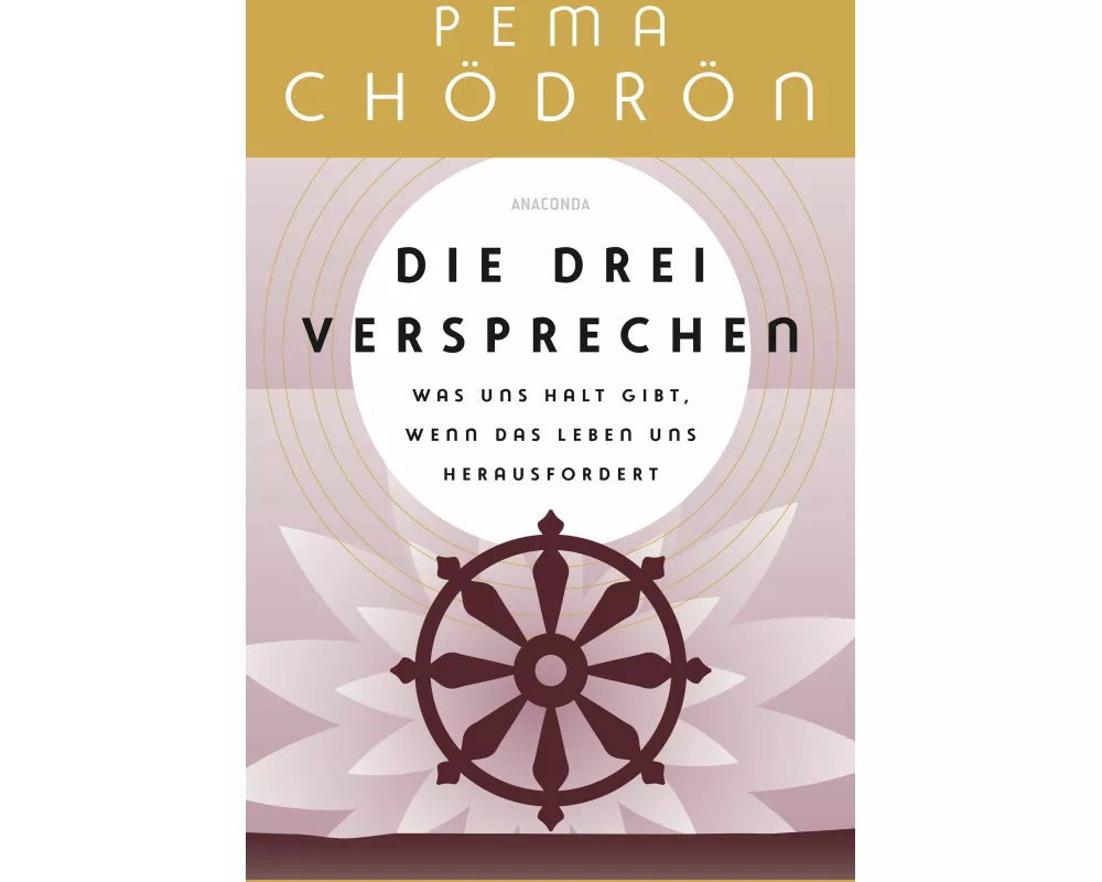 Die drei Versprechen. Was uns Halt gibt, wenn das Leben uns herausfordert