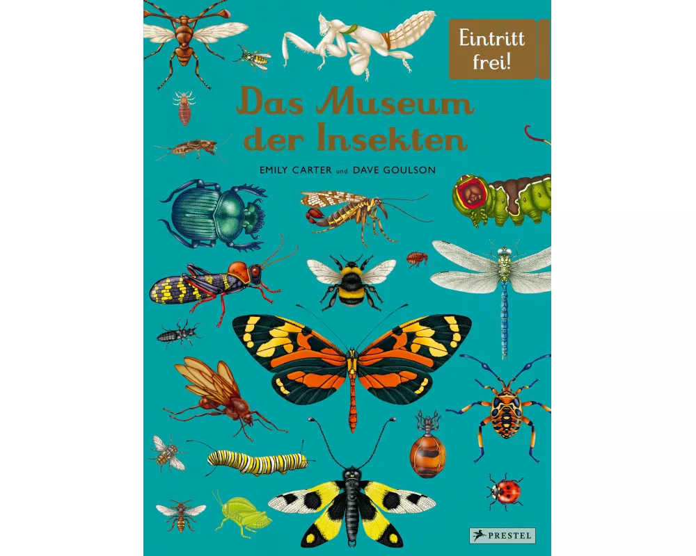 Das Museum der Insekten