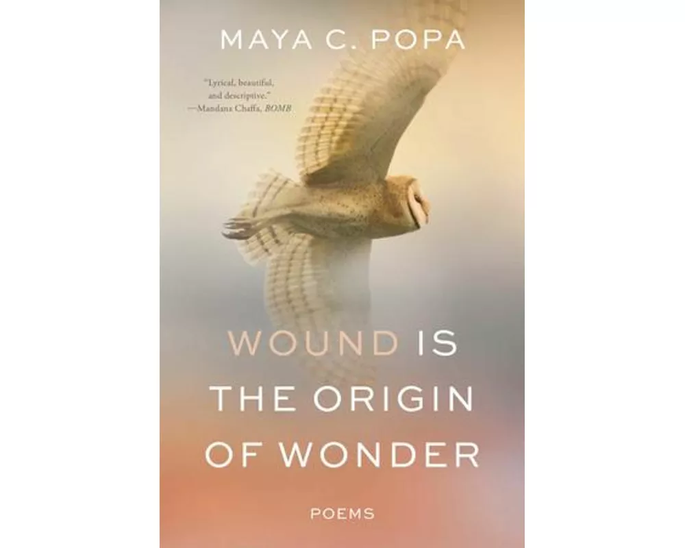 Wound Is the Origin of Wonder