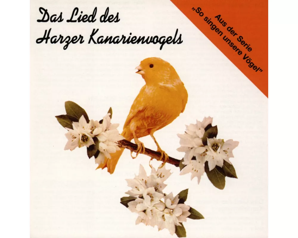 Das Lied Des Harzer Kanarienvogels
