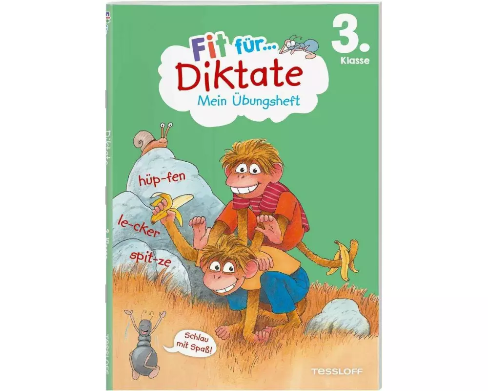 Fit für Diktate 3. Klasse. Mein Übungsheft