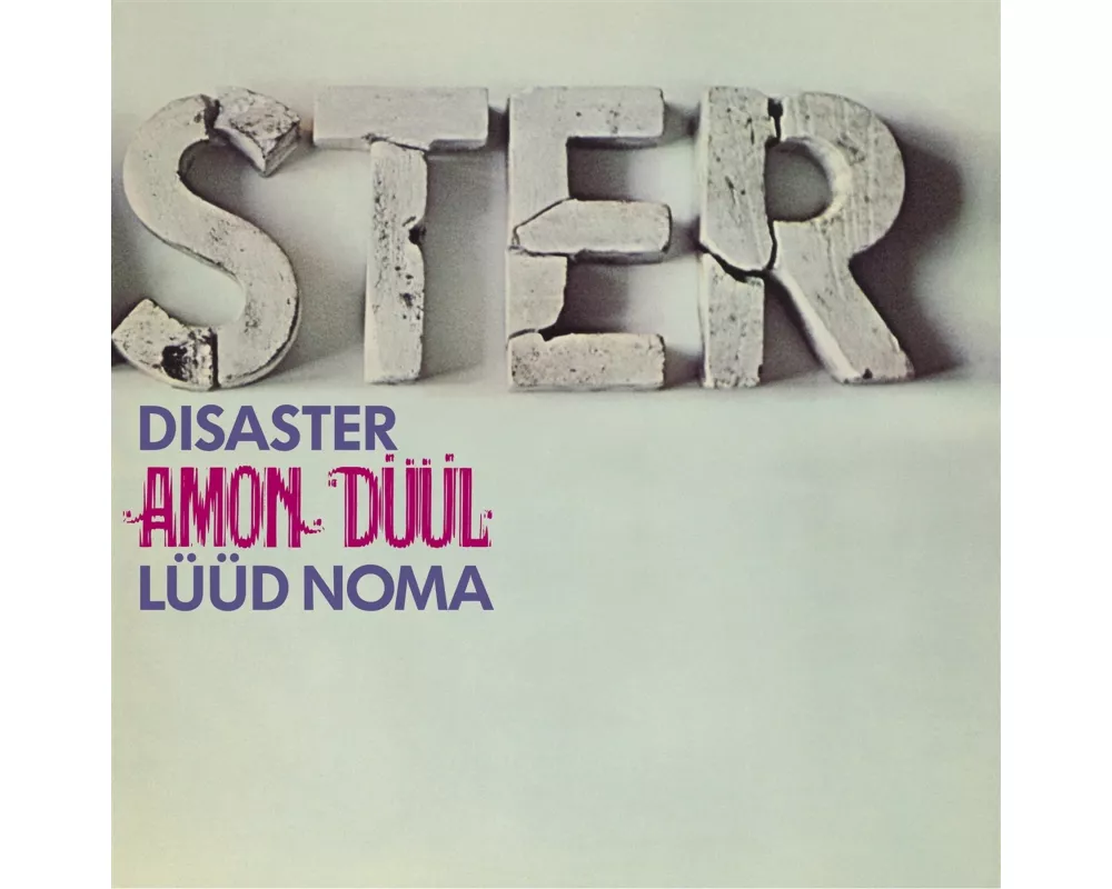 Disaster (Lüüd Noma)