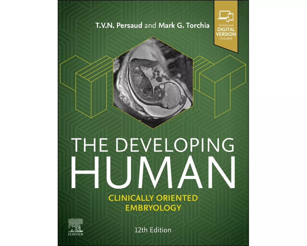 The Developing Human