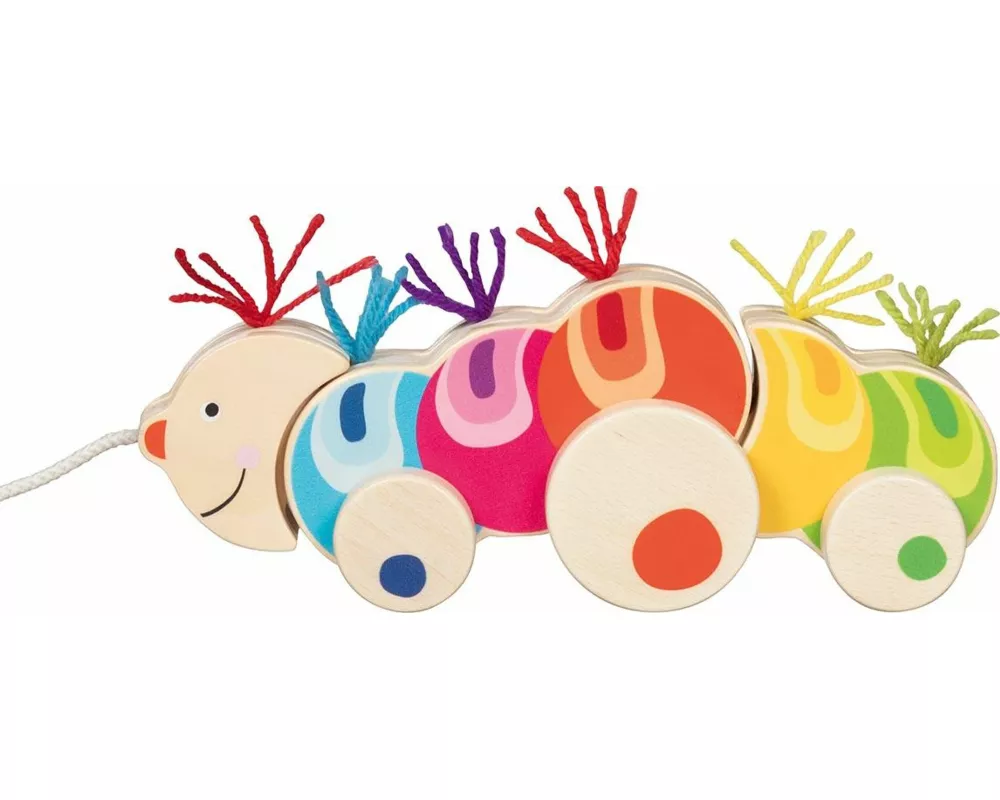 Ziehtier Raupe Papilio