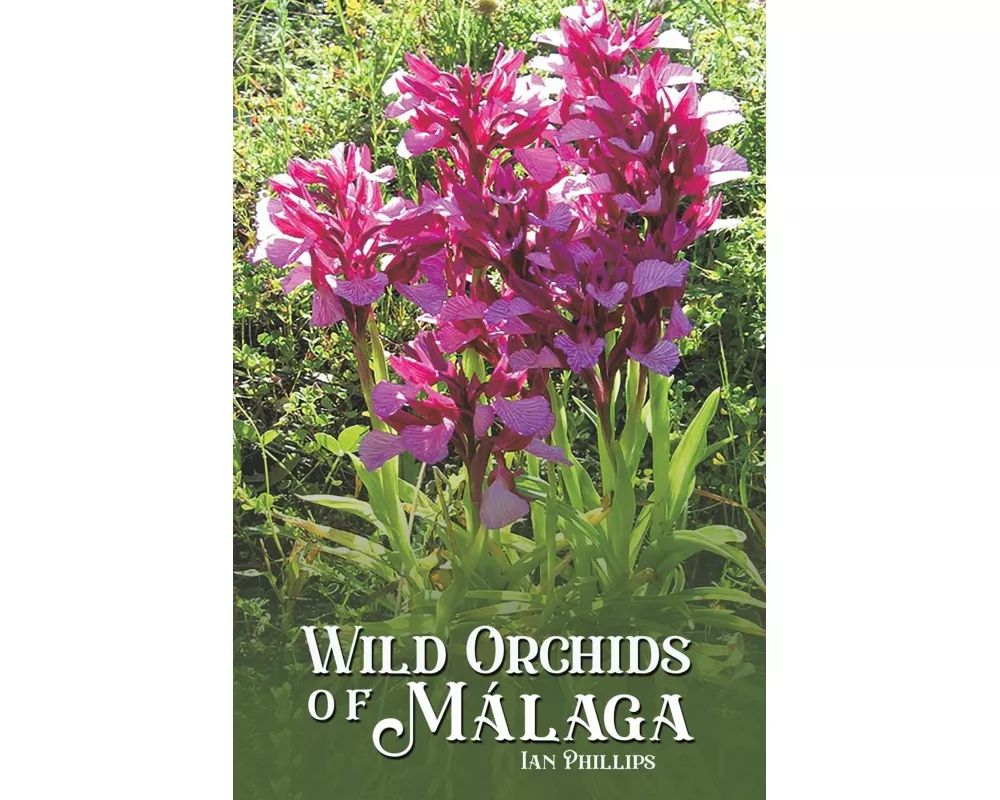 Wild Orchids of Malaga