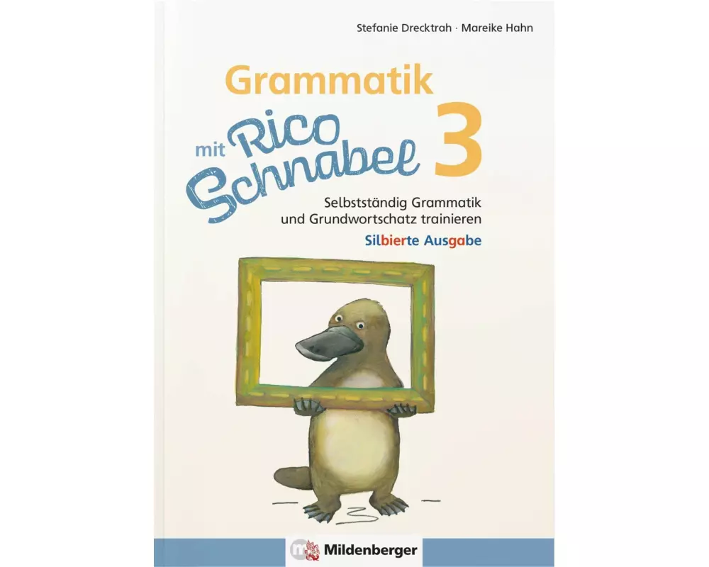 Grammatik mit Rico Schnabel, Klasse 3 - silbierte Ausgabe