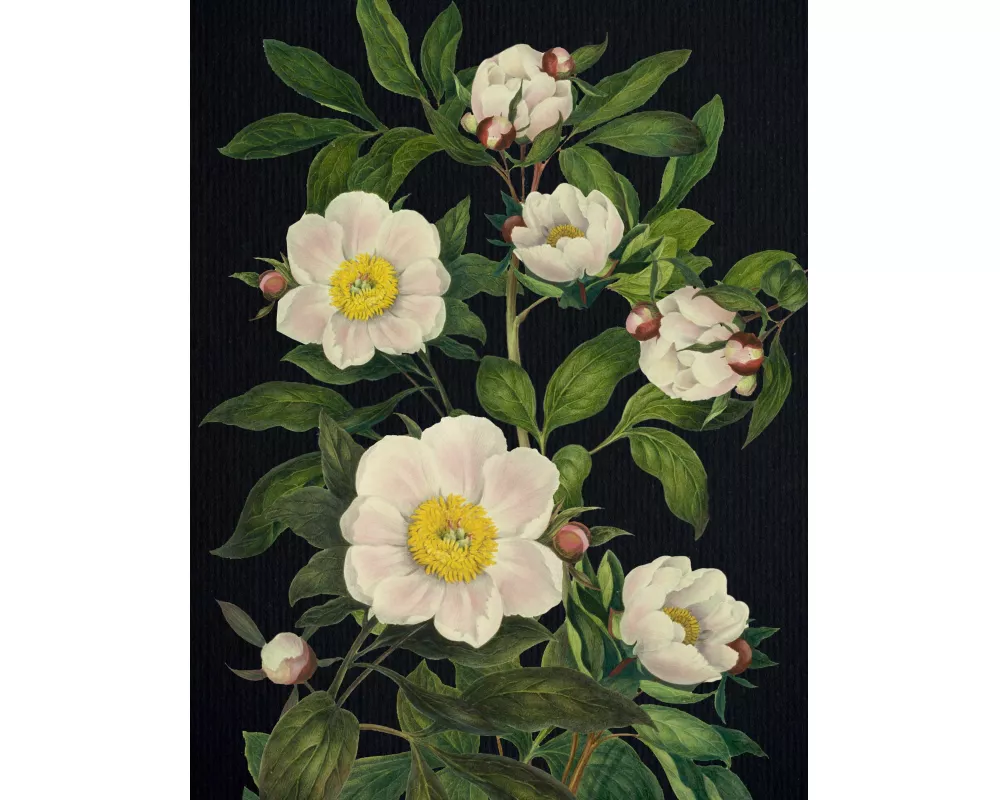 Blooming Flowers Journal