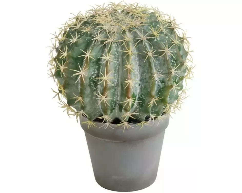 Dekomat AG Kunstpflanze Kugelkaktus im Topf 25 cm