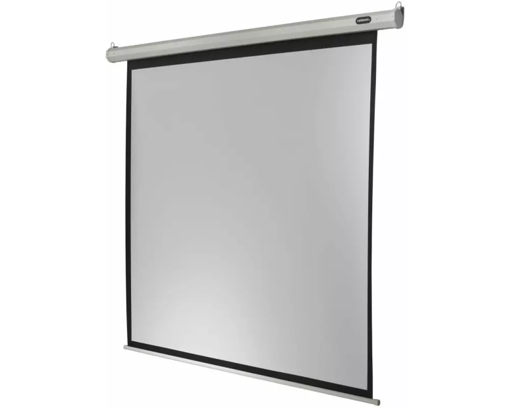 Celexon Motorleinwand Eco 200X200cm 1:1