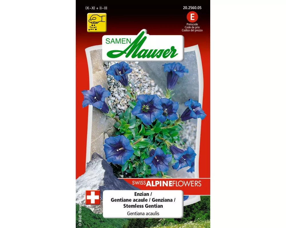 Samen Mauser Alpenblumen Enzian