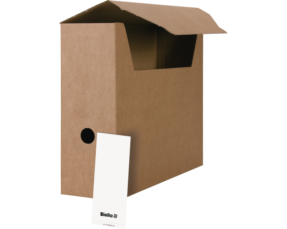 BIELLA Archivschachtel A4 26141000U braun 27.8x10x32.3cm