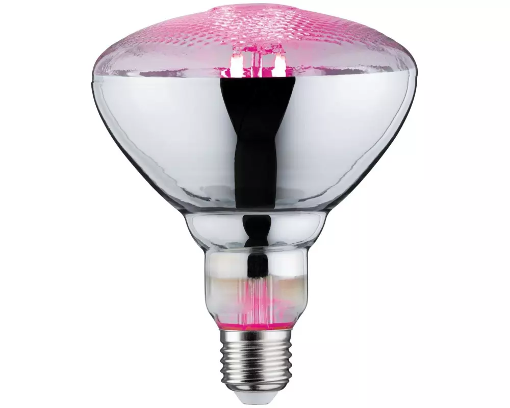 Paulmann Leuchtmittel Grow Green PAR38 E27, 6.5 W