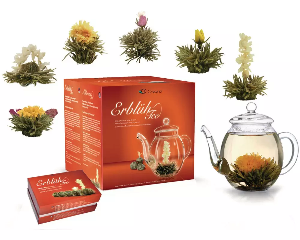 Creano Tee-Set Erblühtee 0.5 l, Transparent