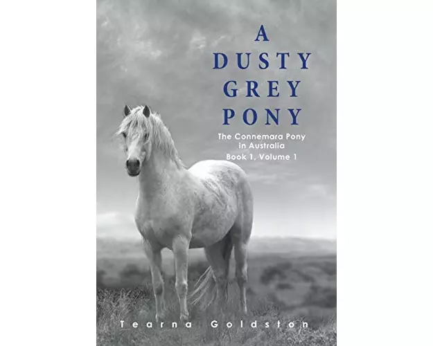 A Dusty Grey Pony Book 1 Volume 1