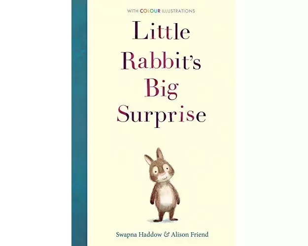 Little Rabbit's Big Surprise