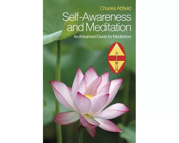 Self-Awareness and Meditation