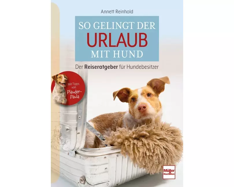 So gelingt der Urlaub mit Hund