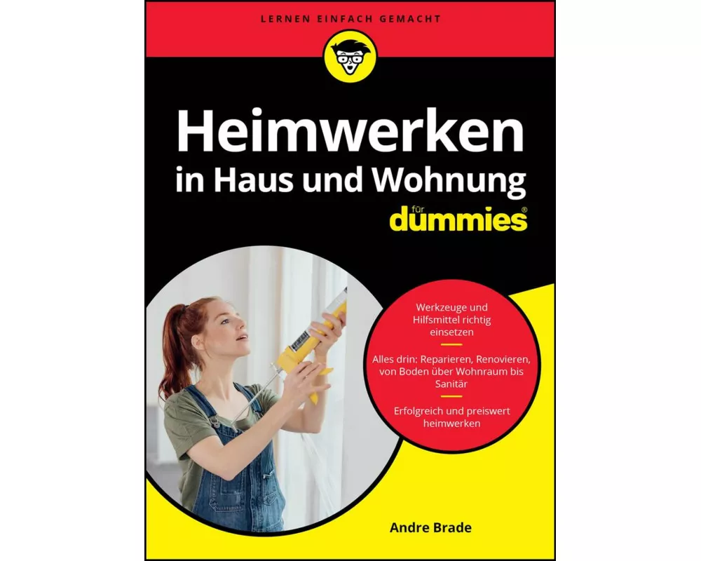 Heimwerken in Haus und Wohnung für Dummies