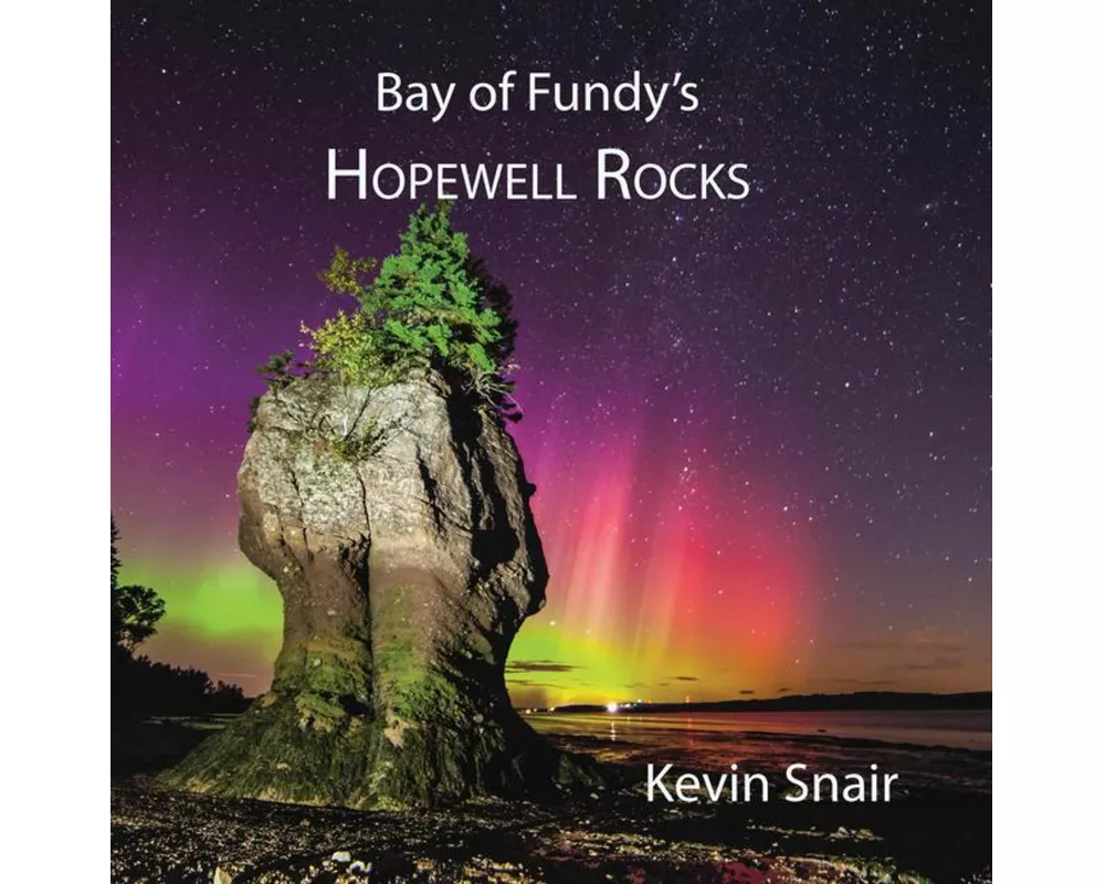 Bay of Fundy's Hopewell Rocks