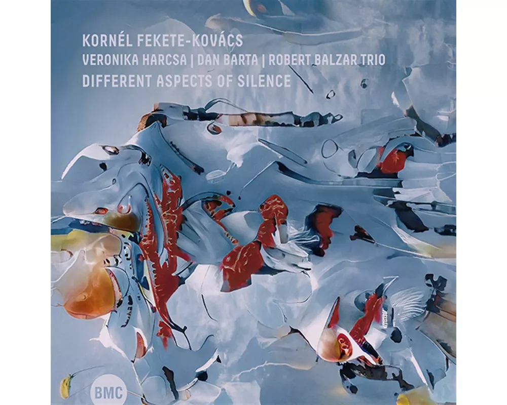 Different Aspects Of Silence