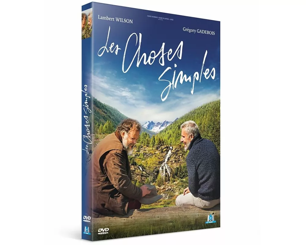 Les Choses Simples (DVD F)
