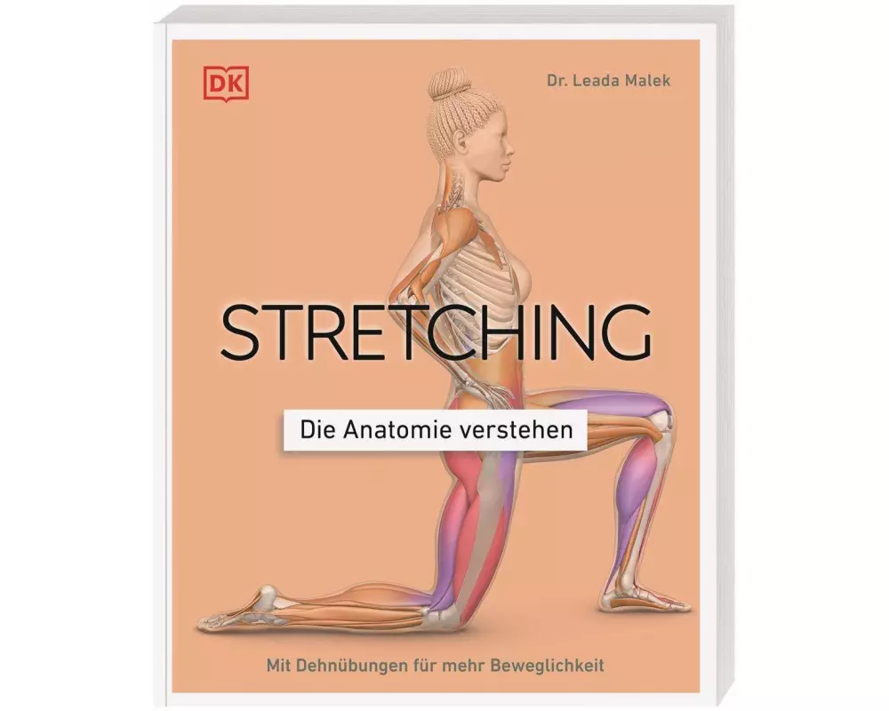 Stretching - Die Anatomie verstehen