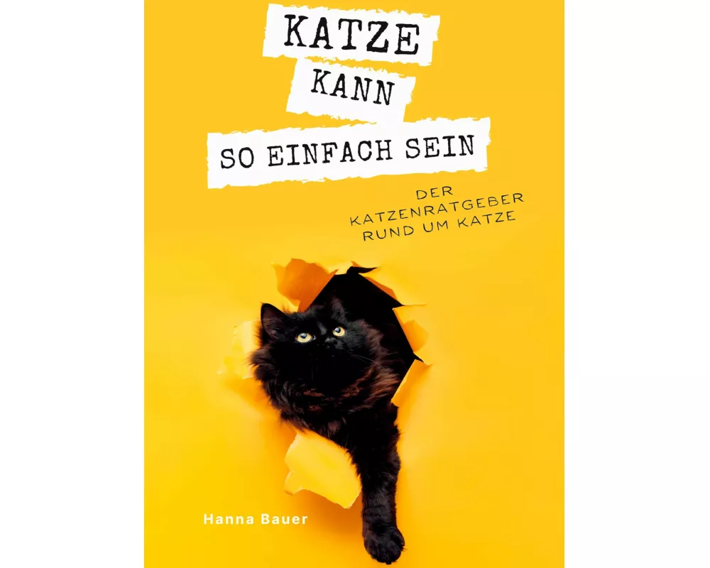 Katze kann so einfach sein