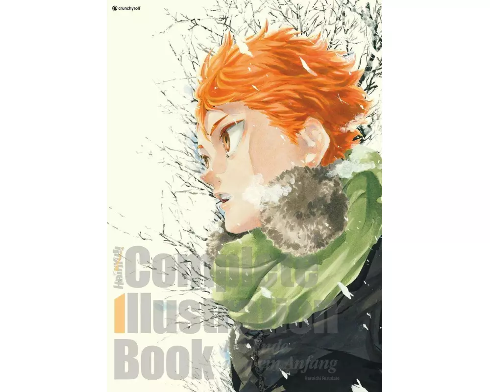 Haikyu!! Complete Illustration Book – Ein Ende und ein Anfang