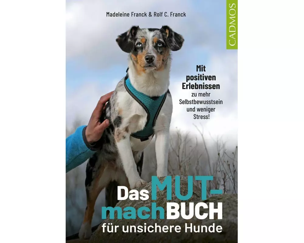 Das Mutmachbuch für unsichere Hunde