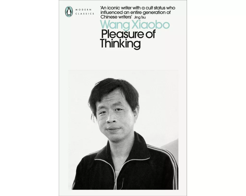 Pleasure of Thinking