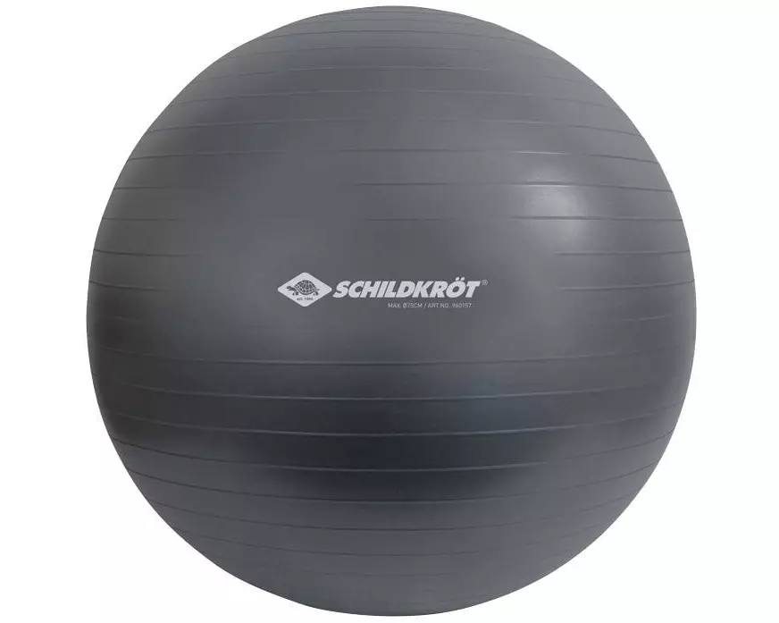 Schildkröt Fitness Gymnastikball 75 cm