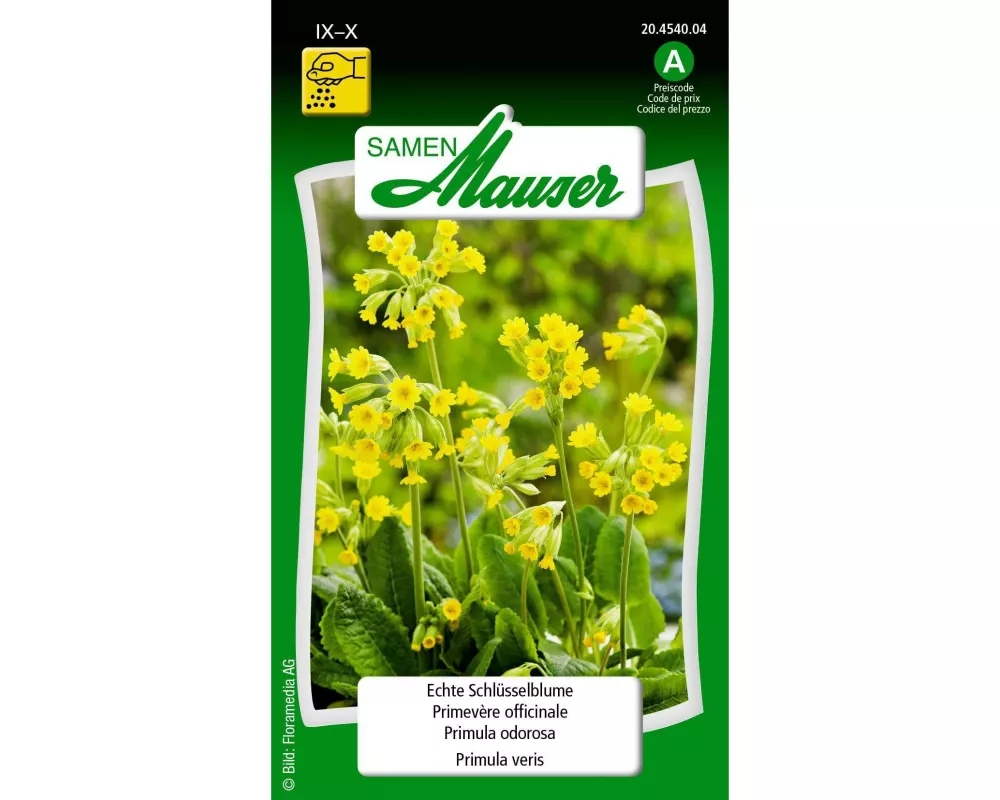 Samen Mauser Saatgut Echte Schlüsselblume