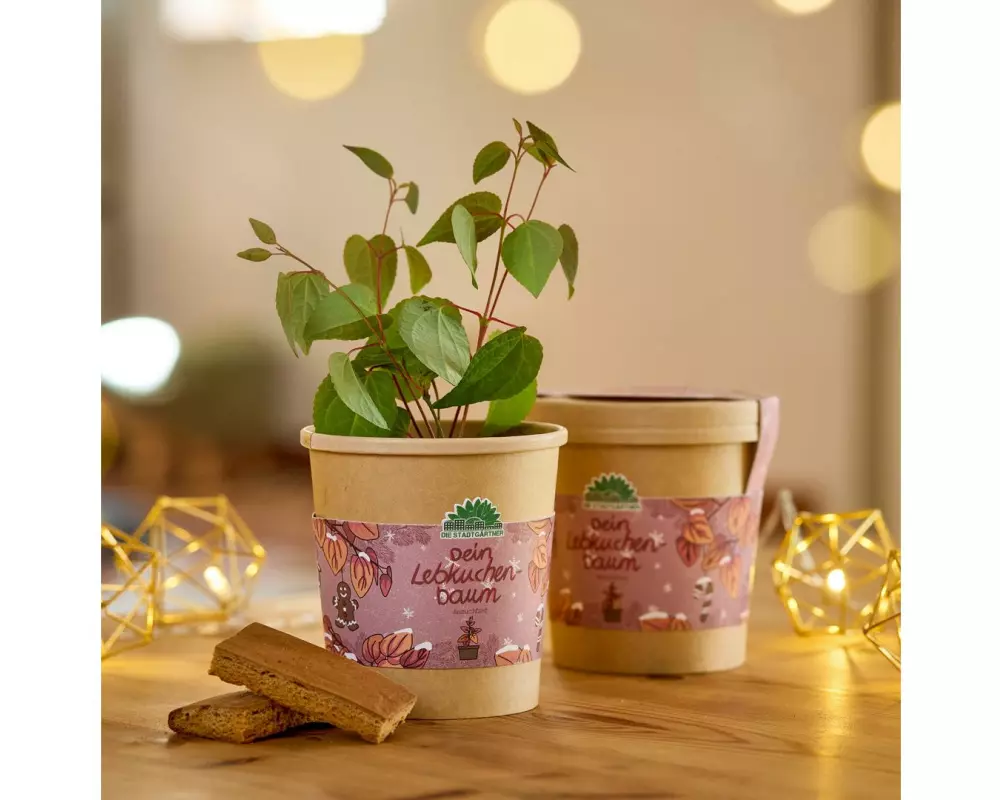 Die Stadtgärtner Lebkuchenbaum Braun Quadratisch Papier
