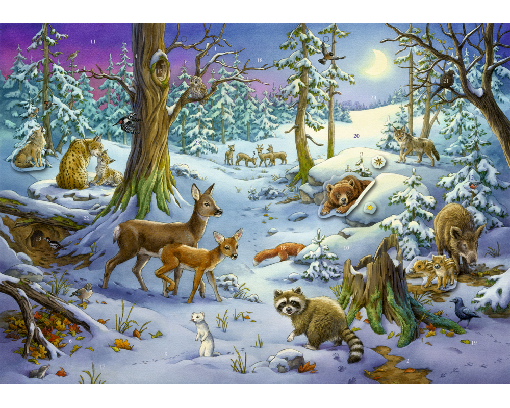 COPPENRATH Sticker Adventskalender 95253 Tiere im Winterwald