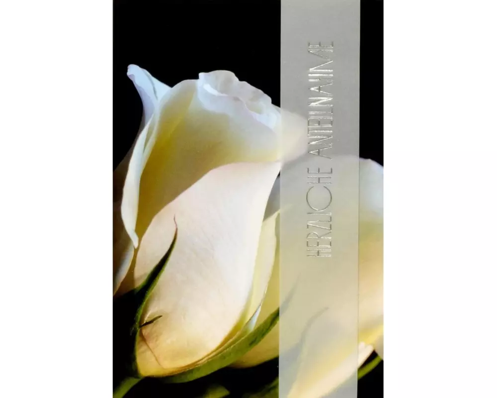 ABC Trauerkarte Herzliche Anteilnahme B6