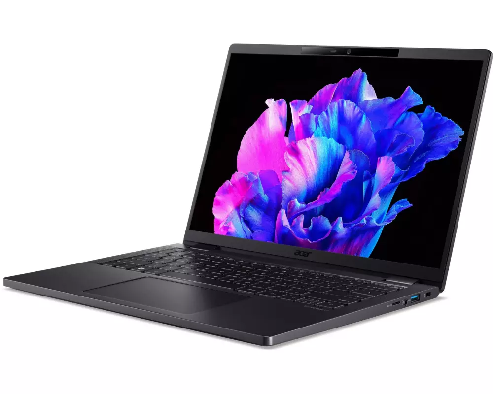 Acer Notebook TravelMate P6