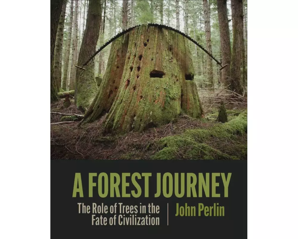 The Forest Journey
