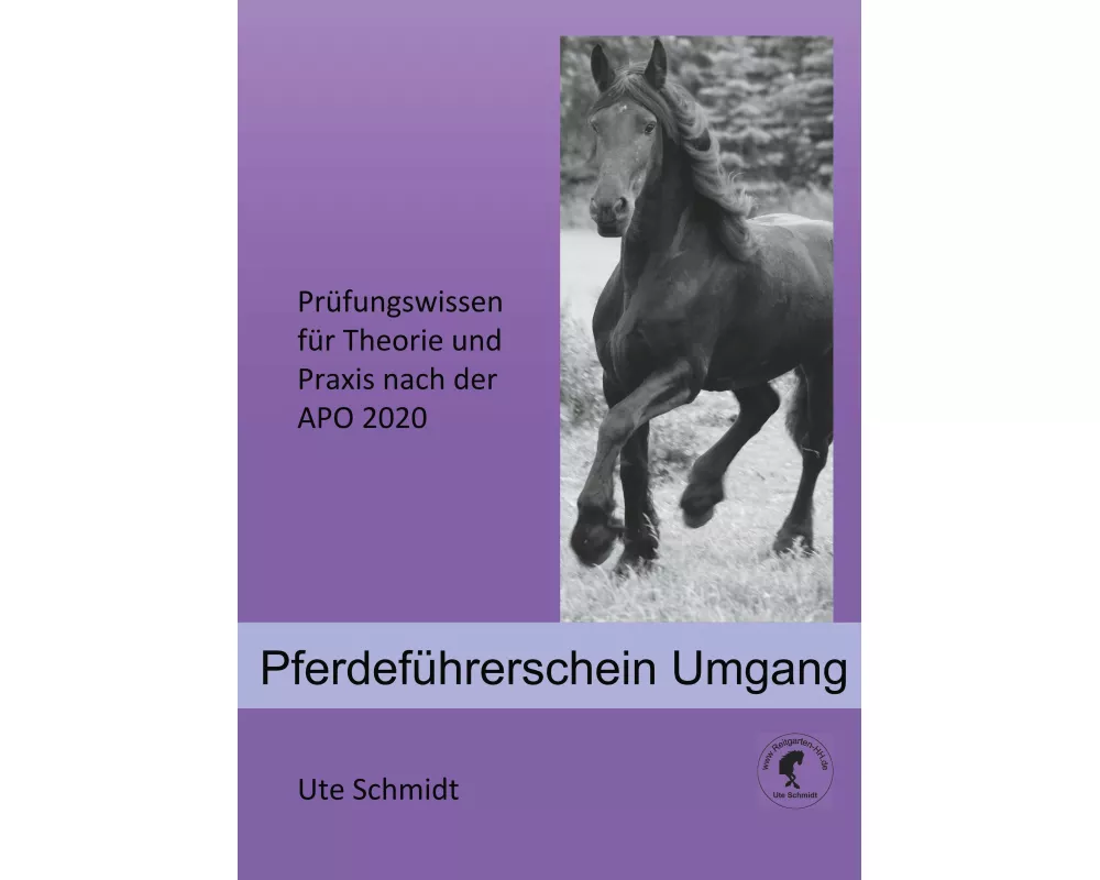 Pferdeführerschein Umgang