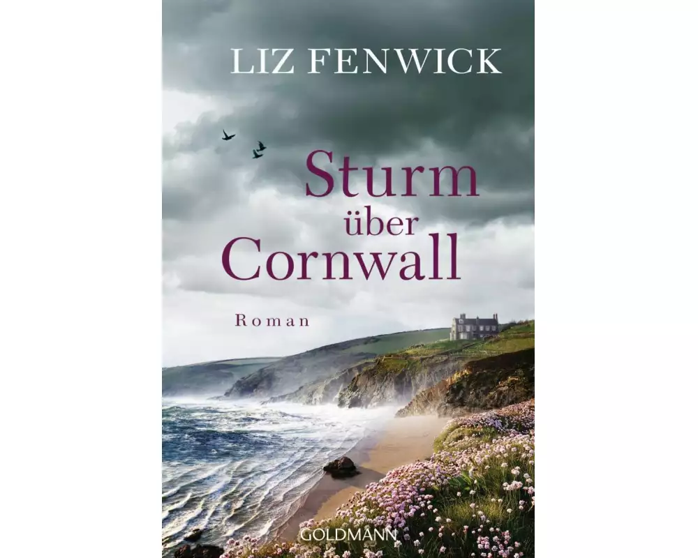 Sturm über Cornwall