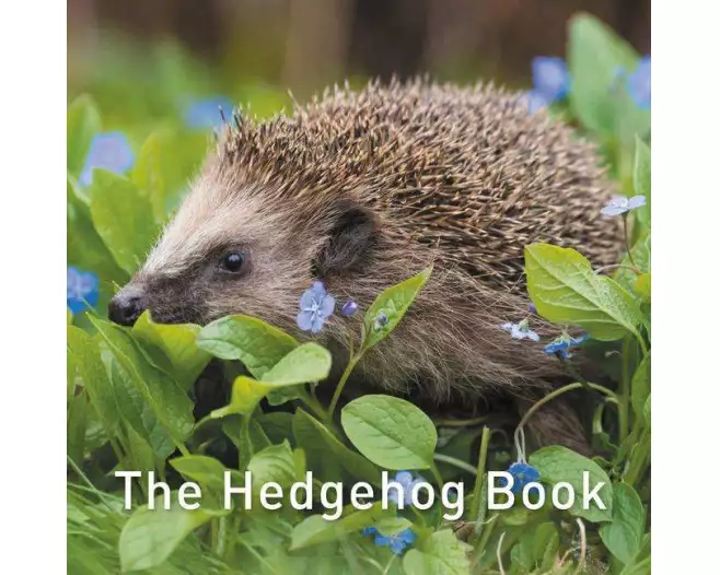 The Hedgehog Book